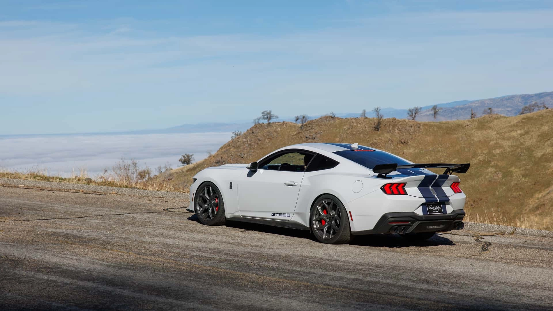 2025 ford mustang shelby gt350jdfgjdfgjdfgjdfgjdfgj