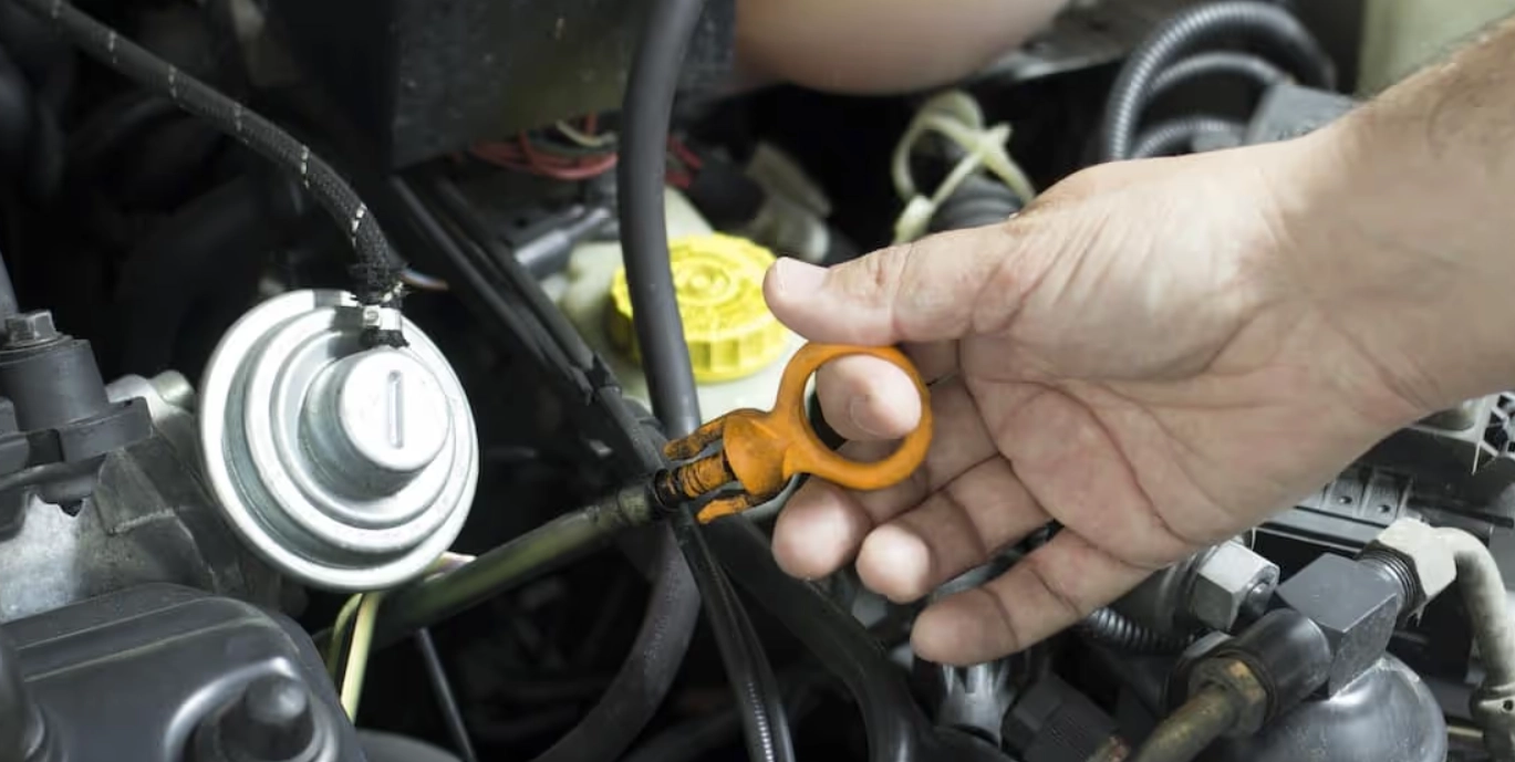 111111111fgjsfgjsgjsfgjsfgjsfgjsgjsgfjsfgj