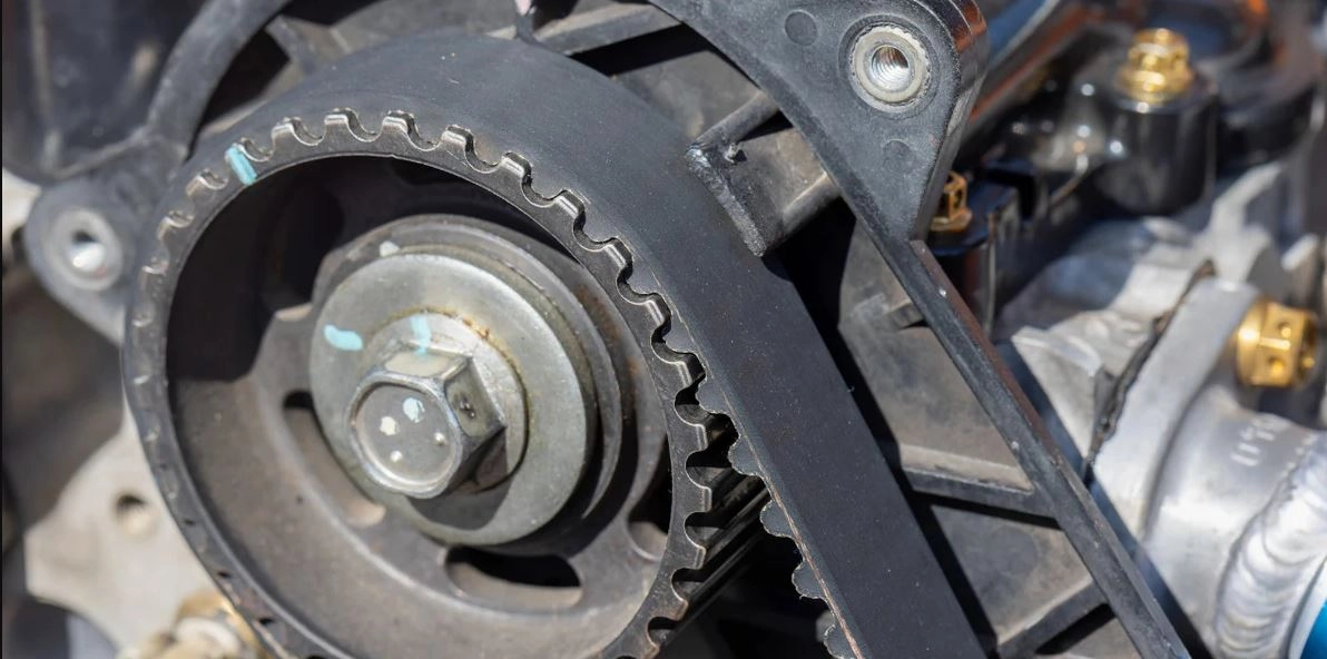 Adfhafdhadfhadfhadfh