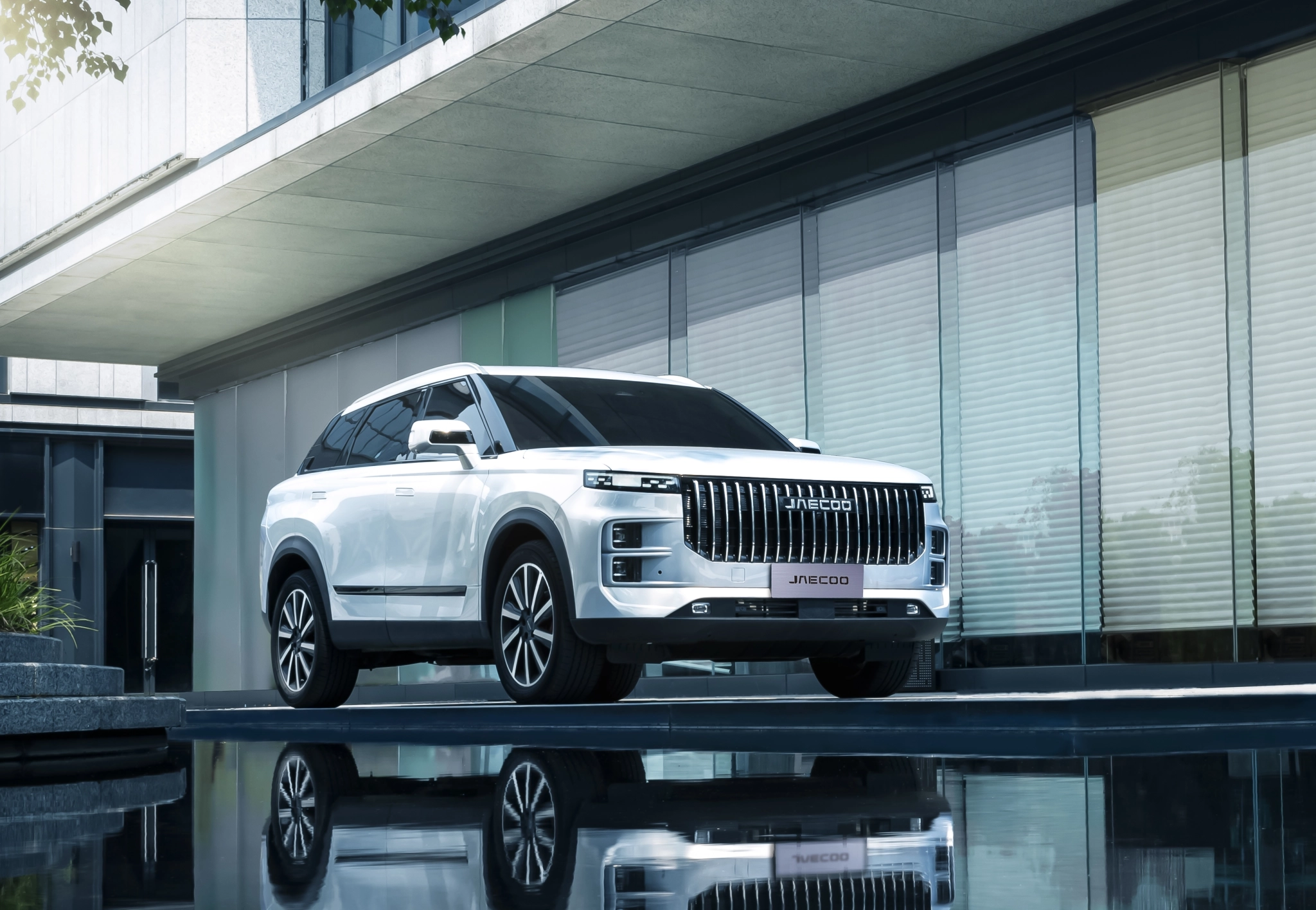 Aum Photo 20241120 244562