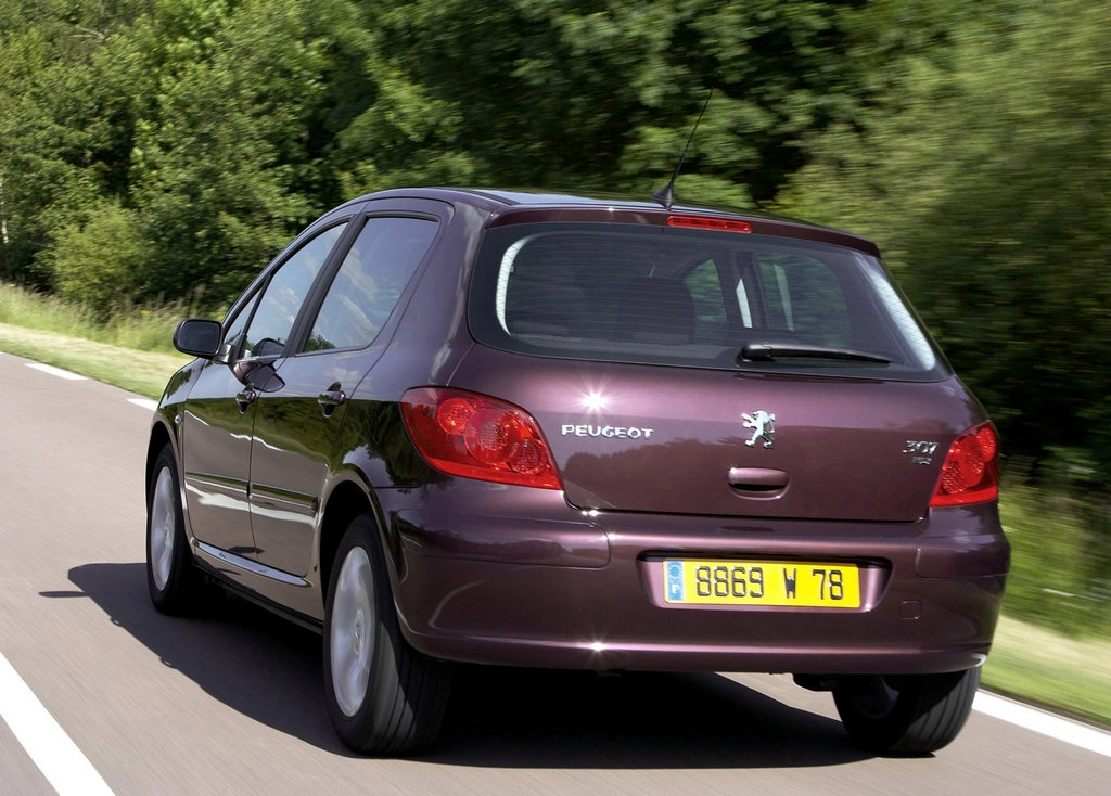 Peugeot 307 2005 1600 11