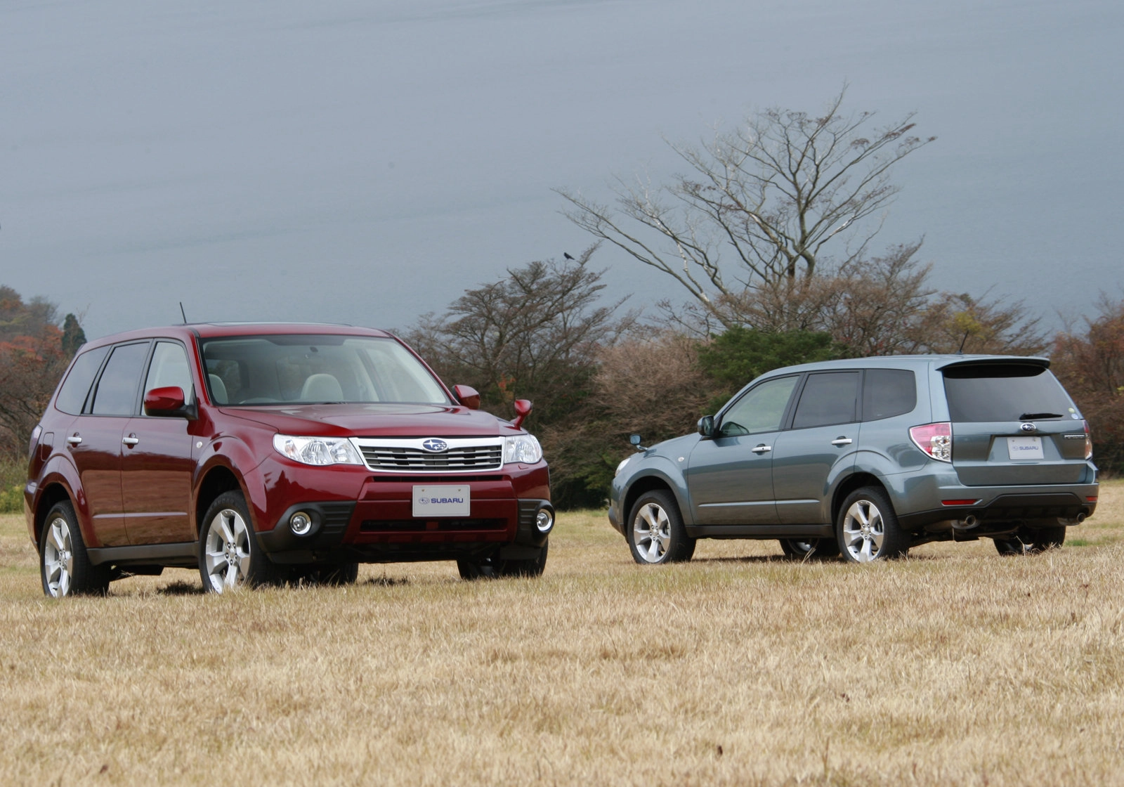 Subaru Forester 2008 1600 11