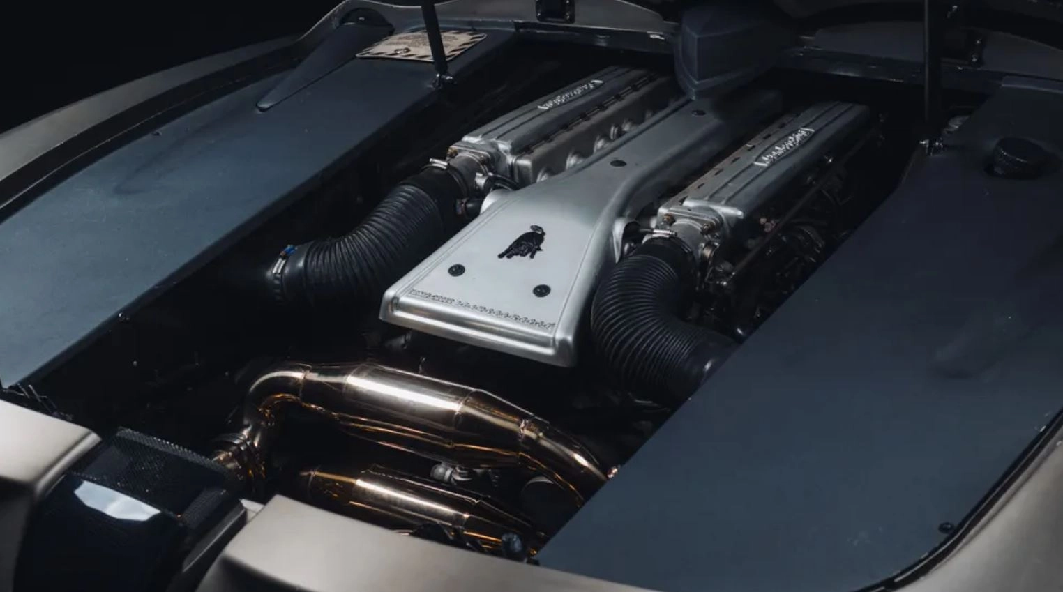 Sedgadfhadfhadfhadfhadfh