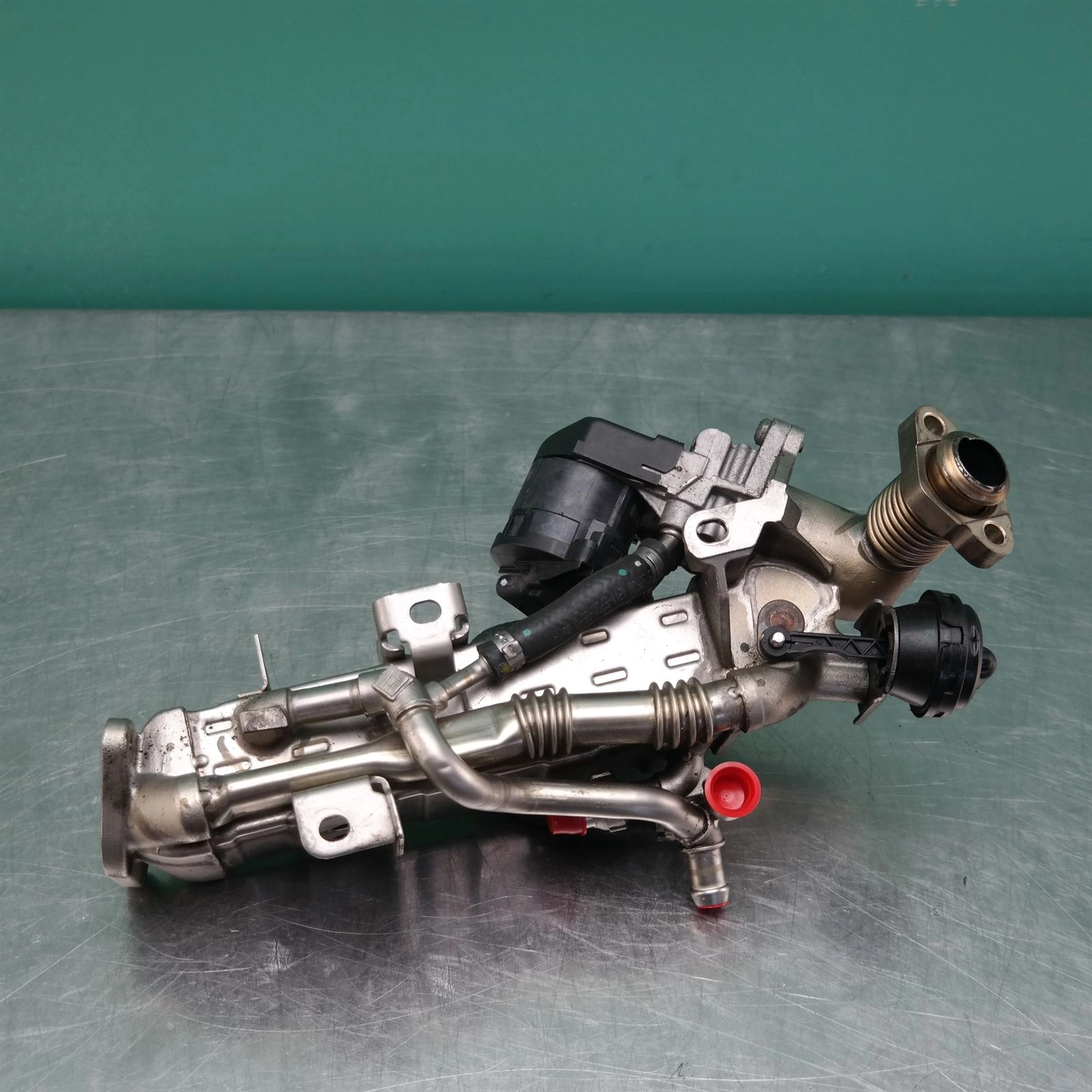 1111111111bnmmngfdfgngfnhgbnbgng