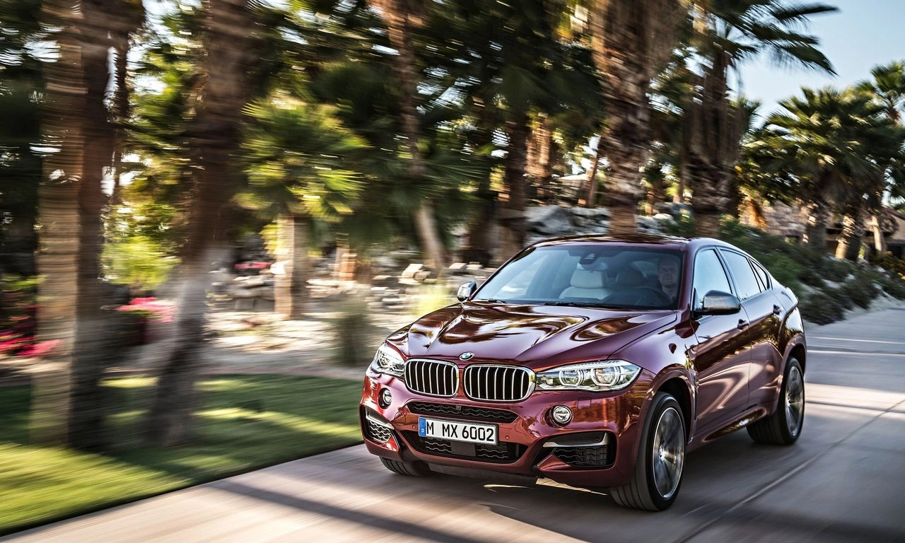 Nekome san, a nekom skupa realnost